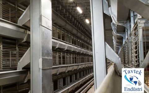 Kurumsal-Tavtek-Endustri-Tavuk-Kafes-ve-Kumes-Ekipmanlari