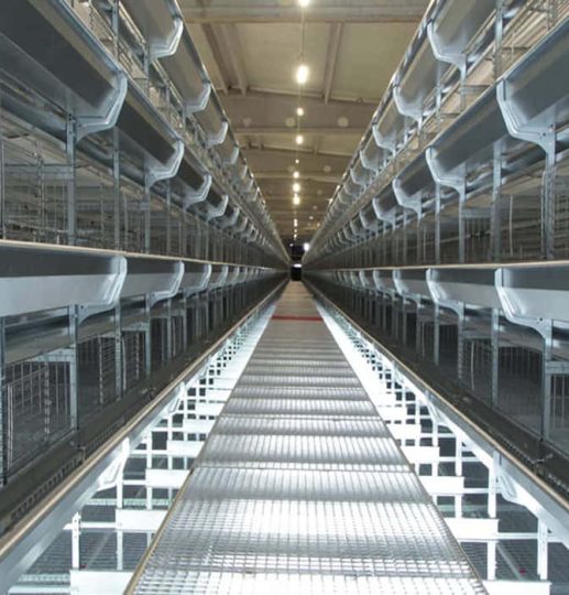 Tavtek-Endustri-Tavuk-Kafes-ve-Kumes-Ekipmanlari-slider-1